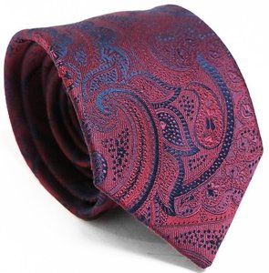 Parisian Fellini Ties Paisley
