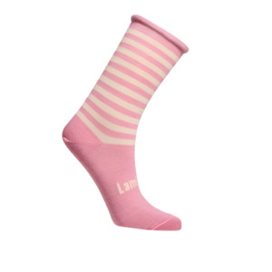 Lamington Womens Socks - Crew | Meringue (Roll Top)