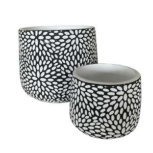 House Plants: Petals Planters - Black