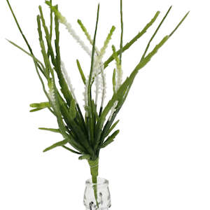 Faux Plant - Rhipsalis Succulent White Flowers