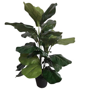 House Plants: Faux Plant - Potted Fiddle Tree 69cm
