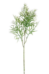 House Plants: Faux Plant - Grevillea Leaf Spray