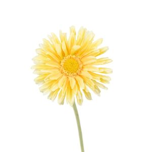 House Plants: Faux Plant - Single Gerbera | Yellow