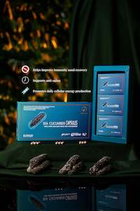 Health Supplements: Sea Cucumber Capsules (Immunity and Recovery)