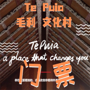Te Puia毛利文化村门票 – SHENGXIN TRANSPORT 中文taxi