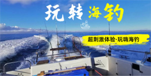 奥克兰出海海钓 – SHENGXIN TRANSPORT 中文taxi