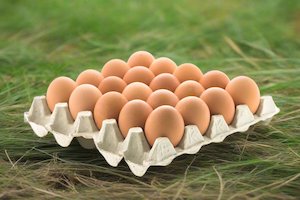 Free-Range Eggs: Shevington Farm Size 8 Free Range Eggs in Trays - 20 large eggs