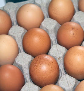 Products: Shevington Farm Size 5 Free-Range eggs - 20 eggs per tray