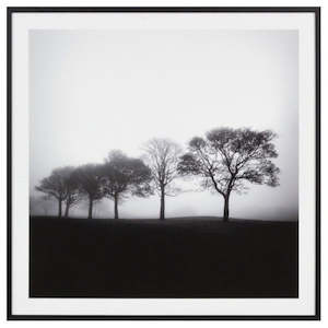 Artwork: Art Work - Misty Trees