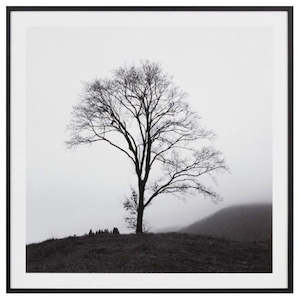 Art Work - Lone Misty Tree
