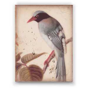 Sid Dickens Memory Block - Winged Sage