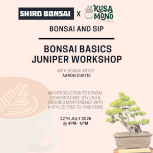 Bonsai Basics Juniper Workshop- 12th July
