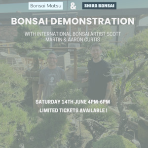 Bonsai Demo with Scott Martin