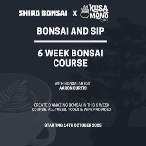 E Courses: 6 Week Beginners Bonsai Course - Starting 14th October 2025