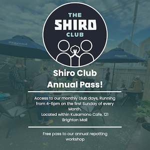 Shiro Club: The Shiro Club (NZBA) - Yearly Membership