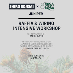 Raffia & Wiring Intensive Workshop- 22nd June