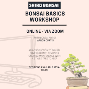 Online Workshops: Beginners Juniper Workshop - Online