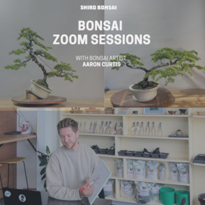 Online Zoom Workshop -30min