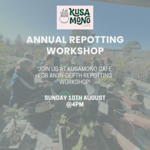 Annual Repotting Workshop - August 10th 2025