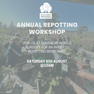 Annual Repotting Workshop - August 9th 2025