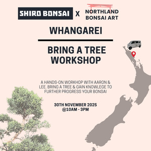 Bring a Tree Workshop- 30th November @10am