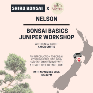 Bonsai Basics Juniper Workshop- 24th November @6:30pm