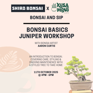 Bonsai Basics Juniper Workshop- 11th October