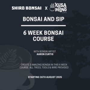 6 Week Beginners Bonsai Course - Starting 26th August 2025