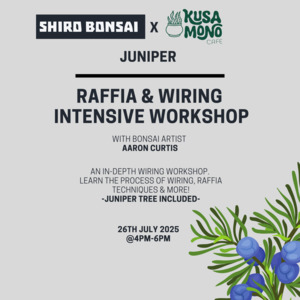 Raffia & Wiring Intensive Workshop- 26th July