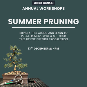Annual Summer Pruning - 13th December @4pm