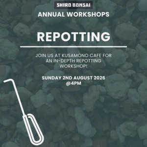 Annual Repotting Workshop - August 2nd 2026