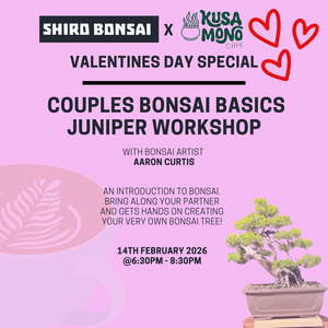 Workshops: Valentines Day Bonsai Workshop- 14th February 6:30pm