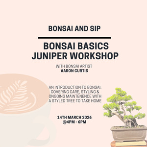 Bonsai Basics Juniper Workshop- 14th March