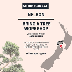 Workshops: Nelson- Bring a Tree Workshop- 16th February