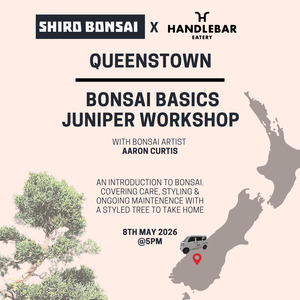 Queenstown - Bonsai Basics Juniper Workshop- 8th May
