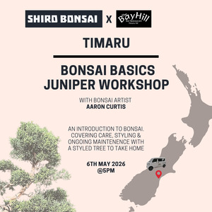 Timaru - Bonsai Basics Juniper Workshop- 6th May