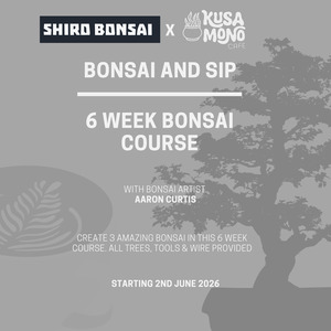 6 Week Bonsai Course - Starting 2nd June 2026