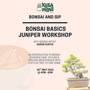 Bonsai Basics Juniper Workshop- 30th May