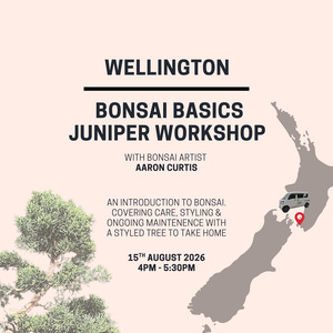 Workshops: Wellington - Bonsai Basics Juniper Workshop- 15th August @4pm