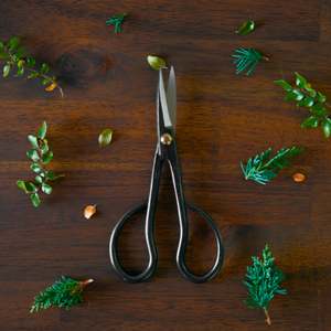 KIKUWA Satsuki Scissors S -Made in Japan