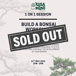 Build A Bonsai Workshop: Build a Bonsai Workshop 24th May @ 2pm