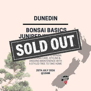 Dunedin - Bonsai Basics Juniper Workshop- 25th July