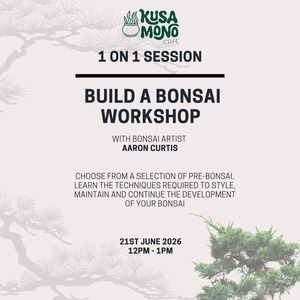 Build a Bonsai Workshop 21st June @ 12pm