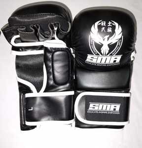 Pro Sparring Gloves