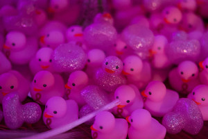 Shocking Pink rubber duckies set of 2. One sparking and one with a pink ribbon Shockingpink