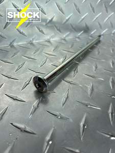 Surron Light Bee X Swingarm Bolt