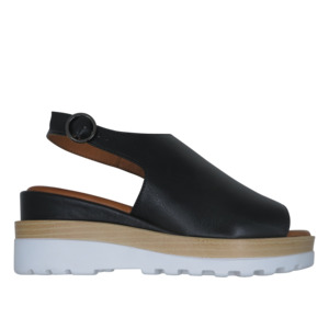 Le Sansa: Le Sansa Thunder