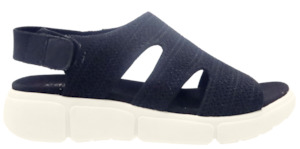 Cassini: CASSINI MONTSE