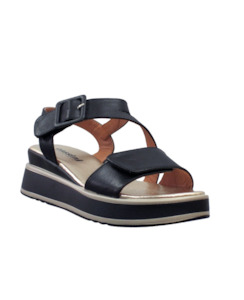 All: CASSINI MORRETI