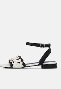 Womens Flats: Elvio Zanon EN2109X